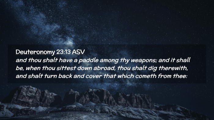 Picture 02 - Deuteronomy 23:13 ASV Desktop Wallpaper - and thou shalt have a paddle among thy weapons; - Desktop Bible Verse Wallpaper