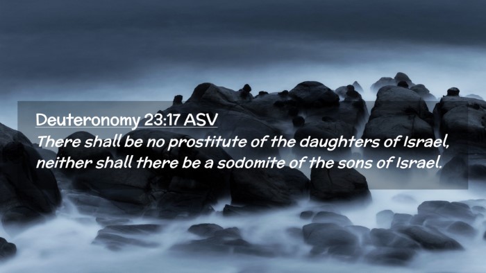 Picture 02 - Deuteronomy 23:17 ASV Desktop Wallpaper - There shall be no prostitute of the daughters of - Desktop Bible Verse Wallpaper