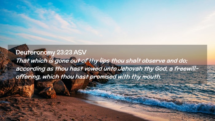 Picture 02 - Deuteronomy 23:23 ASV Desktop Wallpaper - That which is gone out of thy lips thou shalt - Desktop Bible Verse Wallpaper