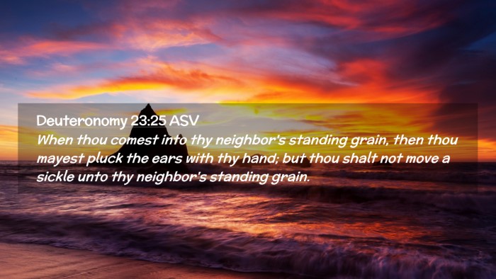 Picture 02 - Deuteronomy 23:25 ASV Desktop Wallpaper - When thou comest into thy neighbor's standing - Desktop Bible Verse Wallpaper