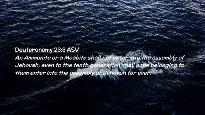 Picture 02 - Deuteronomy 23:3 ASV Desktop Wallpaper - An Ammonite or a Moabite shall not enter into the - Desktop Bible Verse Wallpaper