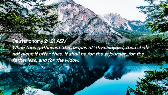 Picture 02 - Deuteronomy 24:21 ASV Desktop Wallpaper - When thou gatherest `the grapes of' thy vineyard, - Desktop Bible Verse Wallpaper