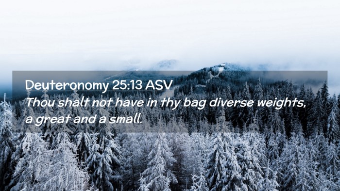 Picture 02 - Deuteronomy 25:13 ASV Desktop Wallpaper - Thou shalt not have in thy bag diverse weights, a - Desktop Bible Verse Wallpaper