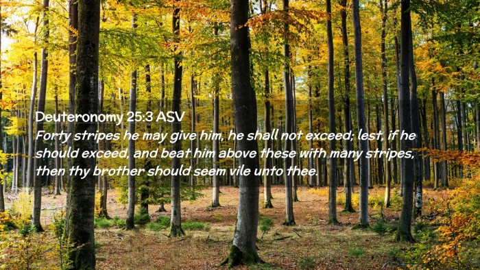 Picture 02 - Deuteronomy 25:3 ASV Desktop Wallpaper - Forty stripes he may give him, he shall not - Desktop Bible Verse Wallpaper