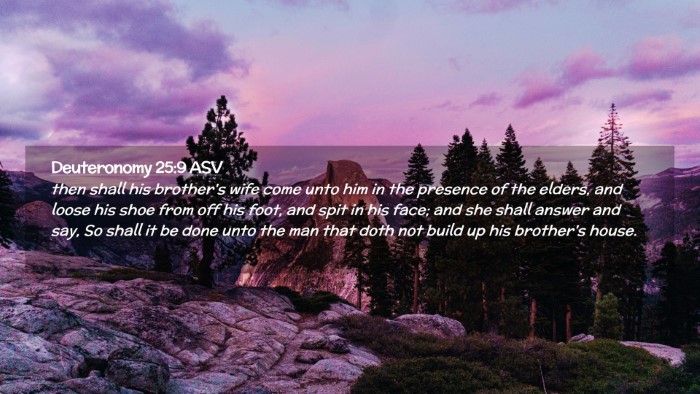 Picture 02 - Deuteronomy 25:9 ASV Desktop Wallpaper - then shall his brother's wife come unto him in - Desktop Bible Verse Wallpaper