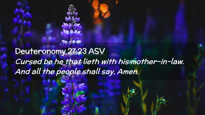Picture 02 - Deuteronomy 27:23 ASV Desktop Wallpaper - Cursed be he that lieth with his mother-in-law. - Desktop Bible Verse Wallpaper