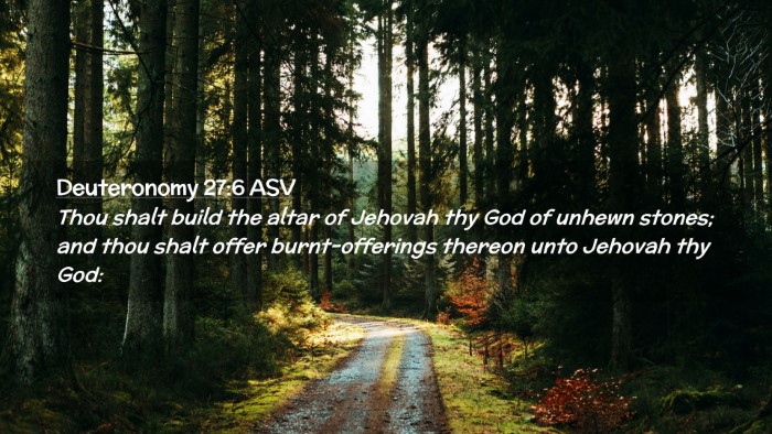 Picture 02 - Deuteronomy 27:6 ASV Desktop Wallpaper - Thou shalt build the altar of Jehovah thy God of - Desktop Bible Verse Wallpaper