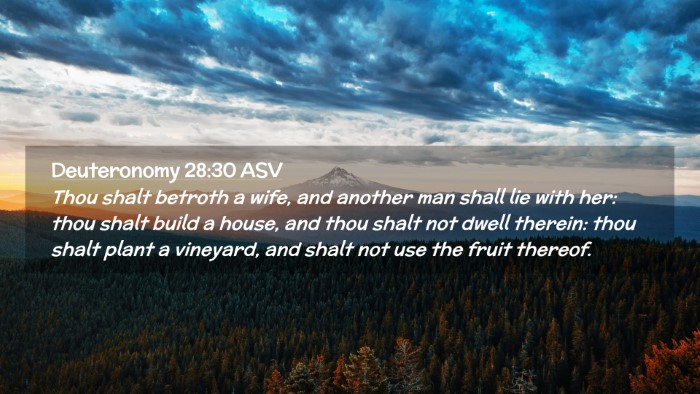 Picture 02 - Deuteronomy 28:30 ASV Desktop Wallpaper - Thou shalt betroth a wife, and another man shall - Desktop Bible Verse Wallpaper