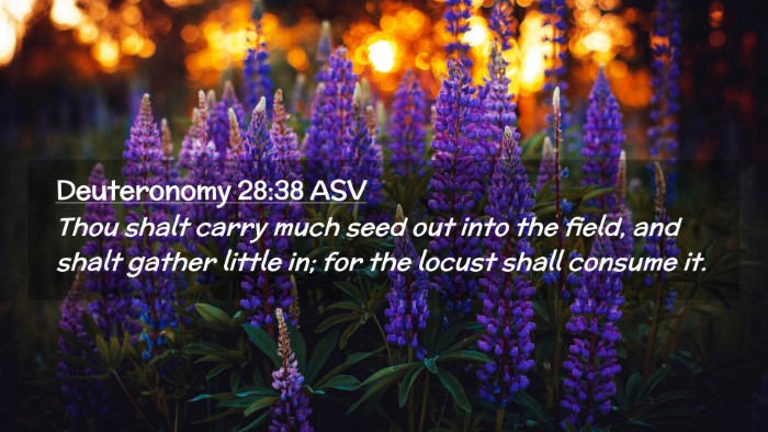 Picture 02 - Deuteronomy 28:38 ASV Desktop Wallpaper - Thou shalt carry much seed out into the field, - Desktop Bible Verse Wallpaper
