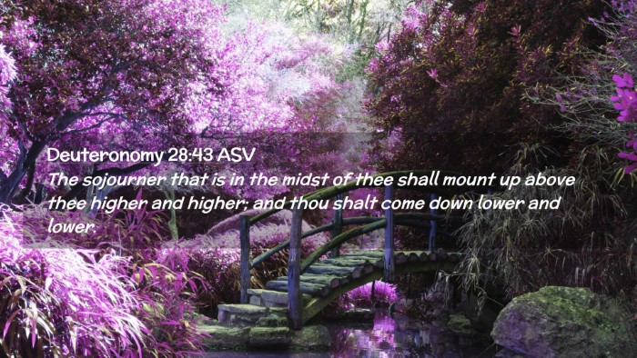 Picture 02 - Deuteronomy 28:43 ASV Desktop Wallpaper - The sojourner that is in the midst of thee shall - Desktop Bible Verse Wallpaper