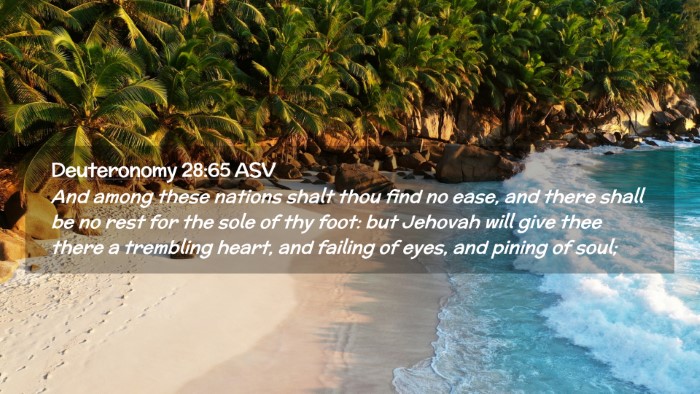 Picture 02 - Deuteronomy 28:65 ASV Desktop Wallpaper - And among these nations shalt thou find no ease, - Desktop Bible Verse Wallpaper