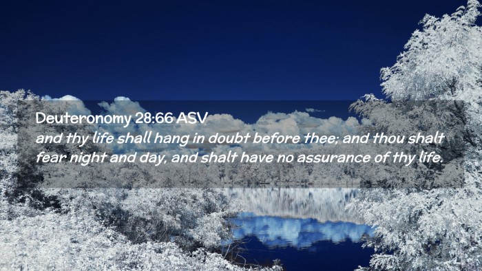 Picture 02 - Deuteronomy 28:66 ASV Desktop Wallpaper - and thy life shall hang in doubt before thee; and - Desktop Bible Verse Wallpaper