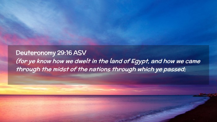 Picture 02 - Deuteronomy 29:16 ASV Desktop Wallpaper - (for ye know how we dwelt in the land of Egypt, - Desktop Bible Verse Wallpaper