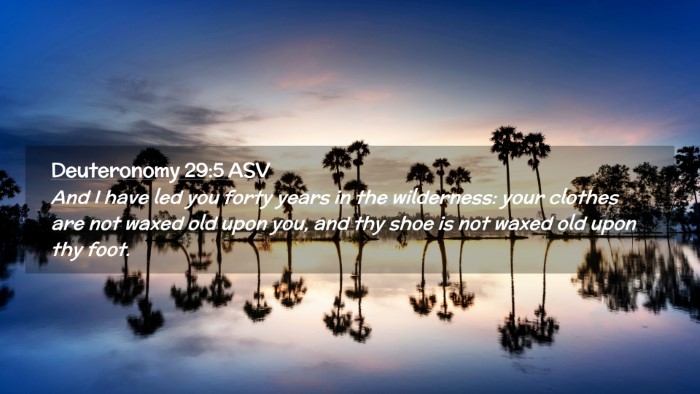 Picture 02 - Deuteronomy 29:5 ASV Desktop Wallpaper - And I have led you forty years in the wilderness: - Desktop Bible Verse Wallpaper