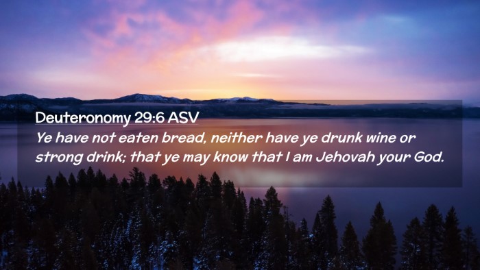 Picture 02 - Deuteronomy 29:6 ASV Desktop Wallpaper - Ye have not eaten bread, neither have ye drunk - Desktop Bible Verse Wallpaper