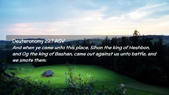 Picture 02 - Deuteronomy 29:7 ASV Desktop Wallpaper - And when ye came unto this place, Sihon the king - Desktop Bible Verse Wallpaper