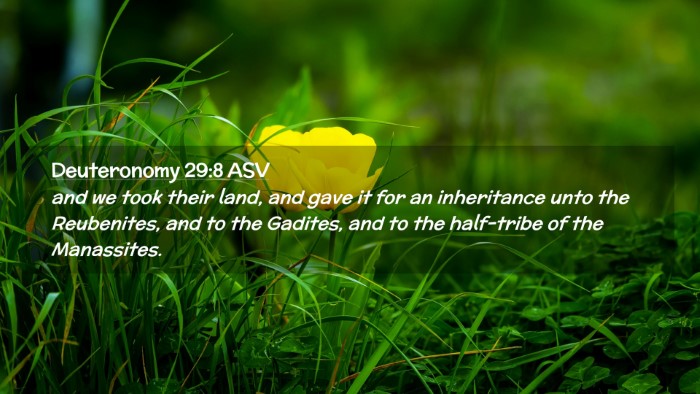 Picture 02 - Deuteronomy 29:8 ASV Desktop Wallpaper - and we took their land, and gave it for an - Desktop Bible Verse Wallpaper