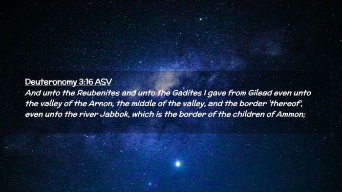Picture 02 - Deuteronomy 3:16 ASV Desktop Wallpaper - And unto the Reubenites and unto the Gadites I - Desktop Bible Verse Wallpaper