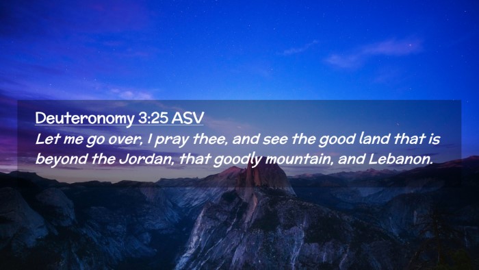 Picture 02 - Deuteronomy 3:25 ASV Desktop Wallpaper - Let me go over, I pray thee, and see the good - Desktop Bible Verse Wallpaper