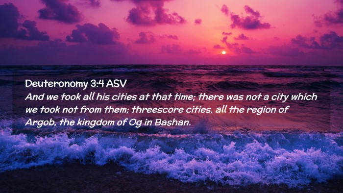 Picture 02 - Deuteronomy 3:4 ASV Desktop Wallpaper - And we took all his cities at that time; there - Desktop Bible Verse Wallpaper