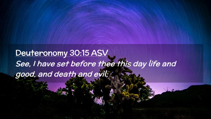 Picture 02 - Deuteronomy 30:15 ASV Desktop Wallpaper - See, I have set before thee this day life and - Desktop Bible Verse Wallpaper