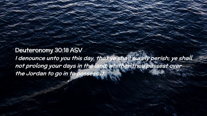 Picture 02 - Deuteronomy 30:18 ASV Desktop Wallpaper - I denounce unto you this day, that ye shall - Desktop Bible Verse Wallpaper