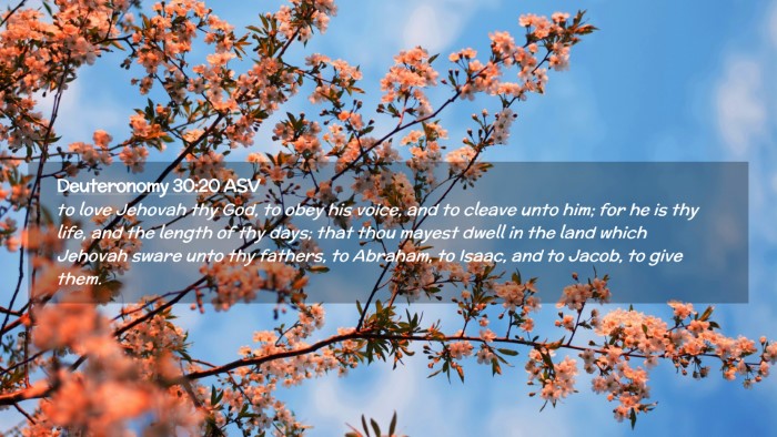 Picture 02 - Deuteronomy 30:20 ASV Desktop Wallpaper - to love Jehovah thy God, to obey his voice, and - Desktop Bible Verse Wallpaper