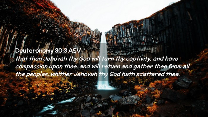 Picture 02 - Deuteronomy 30:3 ASV Desktop Wallpaper - that then Jehovah thy God will turn thy - Desktop Bible Verse Wallpaper
