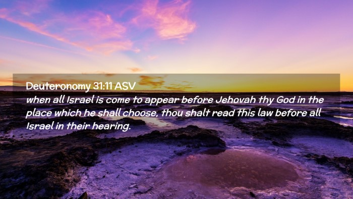 Picture 02 - Deuteronomy 31:11 ASV Desktop Wallpaper - when all Israel is come to appear before Jehovah - Desktop Bible Verse Wallpaper