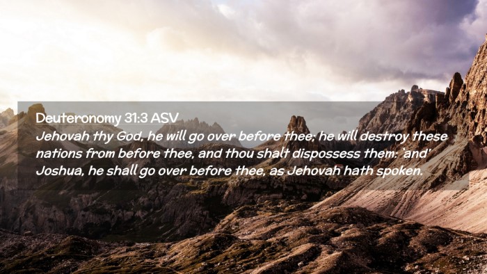 Picture 02 - Deuteronomy 31:3 ASV Desktop Wallpaper - Jehovah thy God, he will go over before thee; he - Desktop Bible Verse Wallpaper