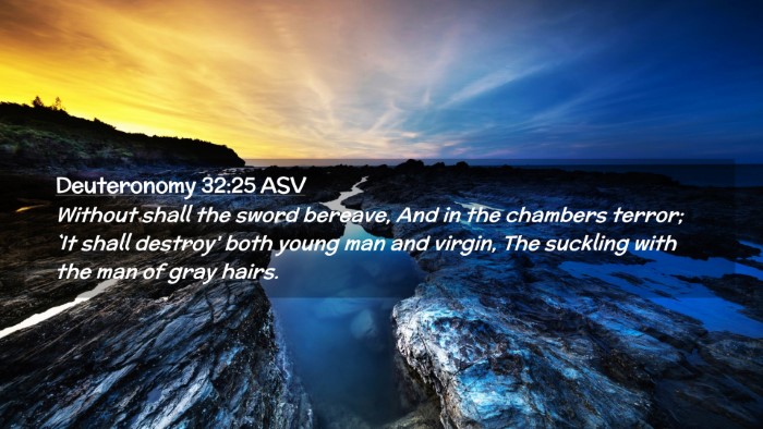 Picture 02 - Deuteronomy 32:25 ASV Desktop Wallpaper - Without shall the sword bereave, And in the - Desktop Bible Verse Wallpaper