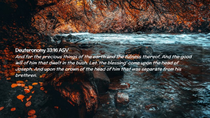 Picture 02 - Deuteronomy 33:16 ASV Desktop Wallpaper - And for the precious things of the earth and the - Desktop Bible Verse Wallpaper