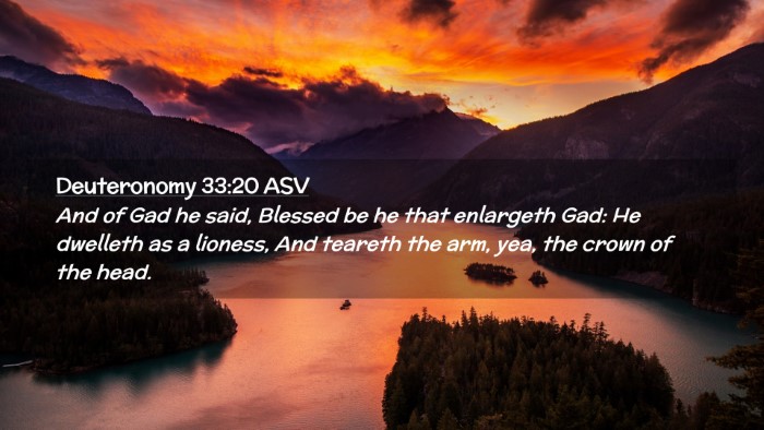 Picture 02 - Deuteronomy 33:20 ASV Desktop Wallpaper - And of Gad he said, Blessed be he that enlargeth - Desktop Bible Verse Wallpaper