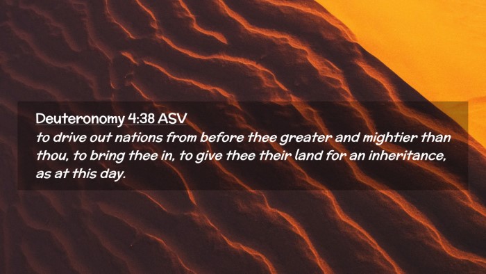 Picture 02 - Deuteronomy 4:38 ASV Desktop Wallpaper - to drive out nations from before thee greater and - Desktop Bible Verse Wallpaper