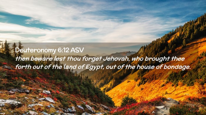 Picture 02 - Deuteronomy 6:12 ASV Desktop Wallpaper - then beware lest thou forget Jehovah, who brought - Desktop Bible Verse Wallpaper