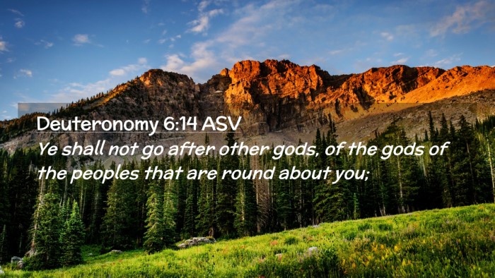 Picture 02 - Deuteronomy 6:14 ASV Desktop Wallpaper - Ye shall not go after other gods, of the gods of - Desktop Bible Verse Wallpaper