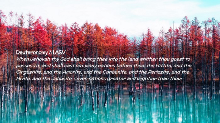 Picture 02 - Deuteronomy 7:1 ASV Desktop Wallpaper - When Jehovah thy God shall bring thee into the - Desktop Bible Verse Wallpaper