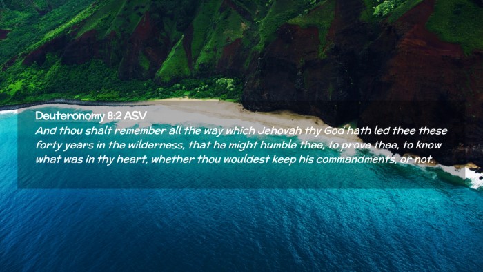 Picture 02 - Deuteronomy 8:2 ASV Desktop Wallpaper - And thou shalt remember all the way which Jehovah - Desktop Bible Verse Wallpaper