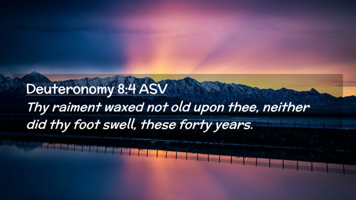 Picture 02 - Deuteronomy 8:4 ASV Desktop Wallpaper - Thy raiment waxed not old upon thee, neither did - Desktop Bible Verse Wallpaper