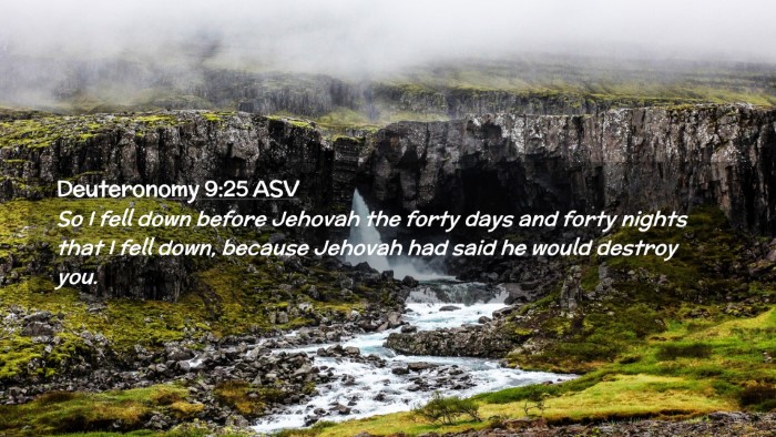 Picture 02 - Deuteronomy 9:25 ASV Desktop Wallpaper - So I fell down before Jehovah the forty days and - Desktop Bible Verse Wallpaper