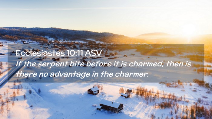 Picture 02 - Ecclesiastes 10:11 ASV Desktop Wallpaper - If the serpent bite before it is charmed, then is - Desktop Bible Verse Wallpaper