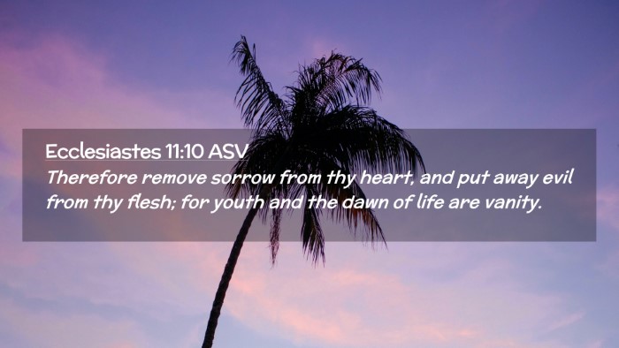 Picture 02 - Ecclesiastes 11:10 ASV Desktop Wallpaper - Therefore remove sorrow from thy heart, and put - Desktop Bible Verse Wallpaper