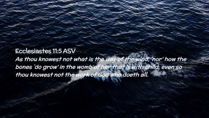 Picture 02 - Ecclesiastes 11:5 ASV Desktop Wallpaper - As thou knowest not what is the way of the wind, - Desktop Bible Verse Wallpaper