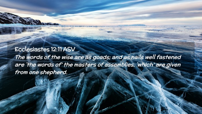 Picture 02 - Ecclesiastes 12:11 ASV Desktop Wallpaper - The words of the wise are as goads; and as nails - Desktop Bible Verse Wallpaper