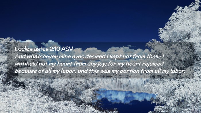 Picture 02 - Ecclesiastes 2:10 ASV Desktop Wallpaper - And whatsoever mine eyes desired I kept not from - Desktop Bible Verse Wallpaper