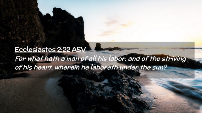 Picture 02 - Ecclesiastes 2:22 ASV Desktop Wallpaper - For what hath a man of all his labor, and of the - Desktop Bible Verse Wallpaper