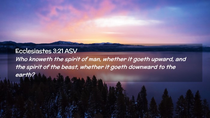Picture 02 - Ecclesiastes 3:21 ASV Desktop Wallpaper - Who knoweth the spirit of man, whether it goeth - Desktop Bible Verse Wallpaper