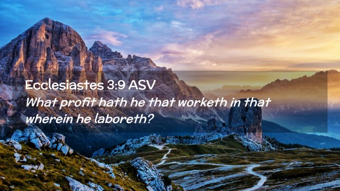 Picture 02 - Ecclesiastes 3:9 ASV Desktop Wallpaper - What profit hath he that worketh in that wherein - Desktop Bible Verse Wallpaper