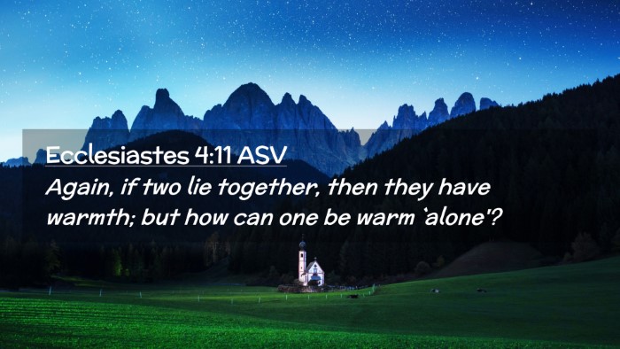 Picture 02 - Ecclesiastes 4:11 ASV Desktop Wallpaper - Again, if two lie together, then they have - Desktop Bible Verse Wallpaper