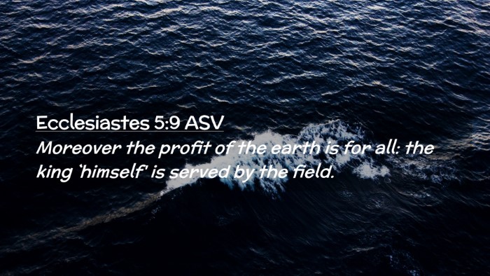 Picture 02 - Ecclesiastes 5:9 ASV Desktop Wallpaper - Moreover the profit of the earth is for all: the - Desktop Bible Verse Wallpaper